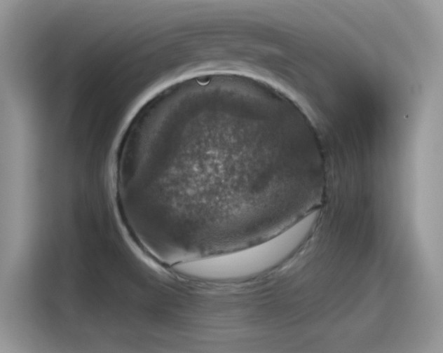 X0000115611519200911171138