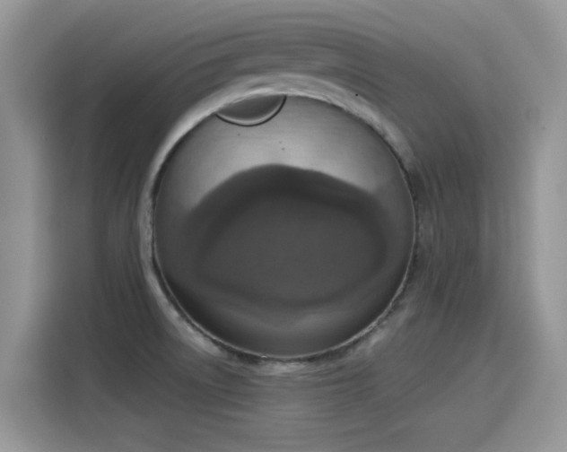 X0000115611522200911171138