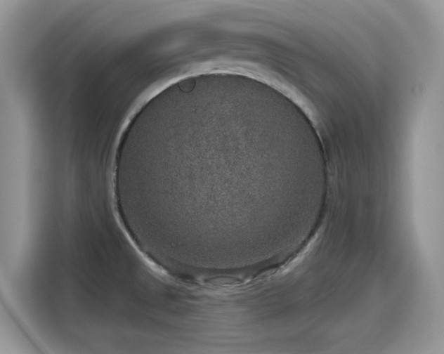 X0000115611525200911171138