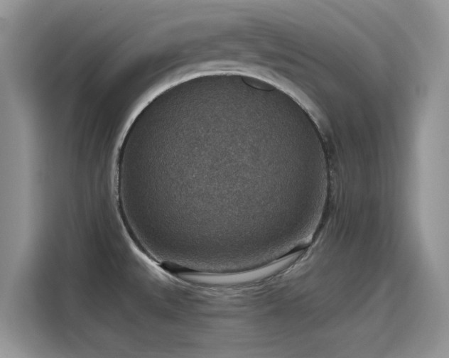 X0000115611527200911171138