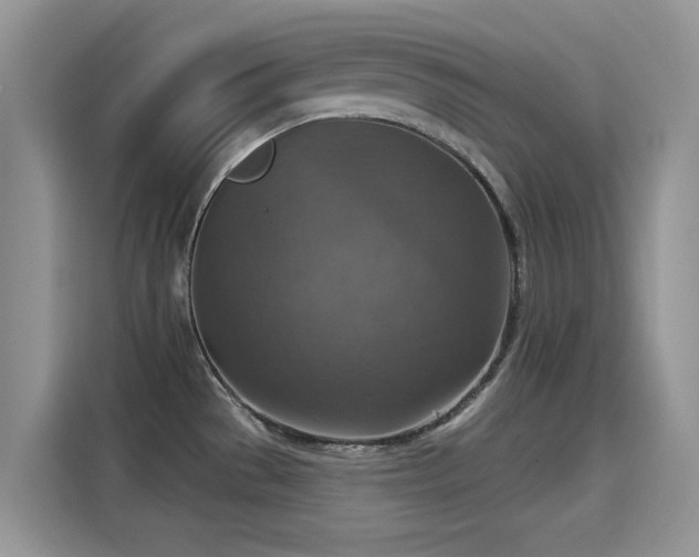 X0000115611529200911171138