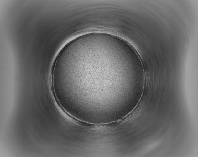 X0000115611531200911171138
