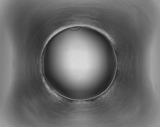 X0000115611534200911171138