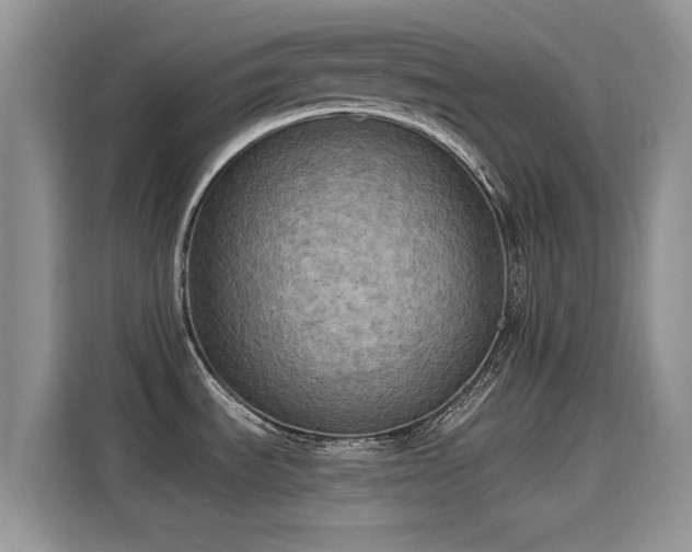 X0000115611535200911171138