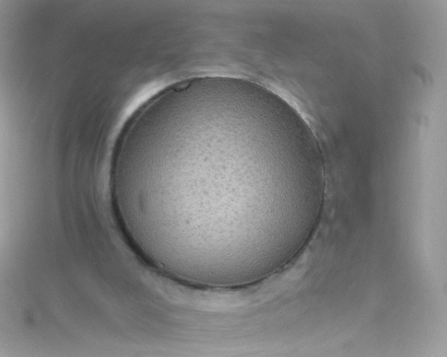 X0000115610008200911241626