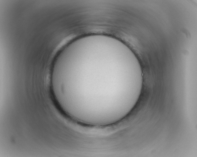 X0000115610016200911241626