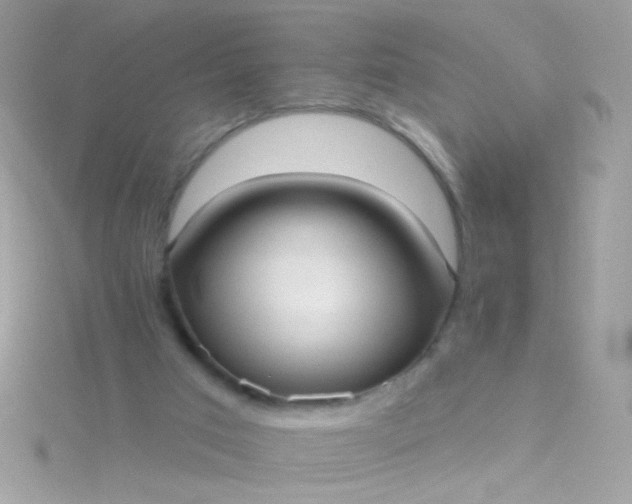 X0000115610017200911241626