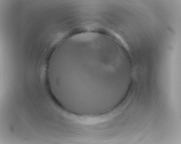 X0000115610018200911241626