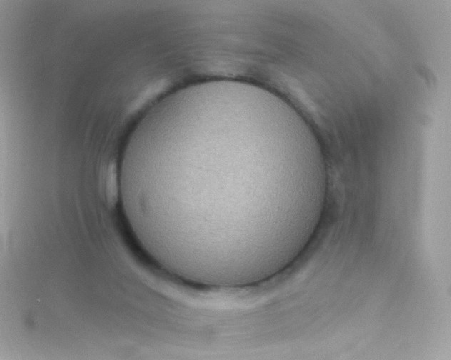 X0000115610020200911241626