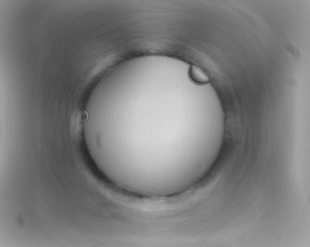 X0000115610024200911241626