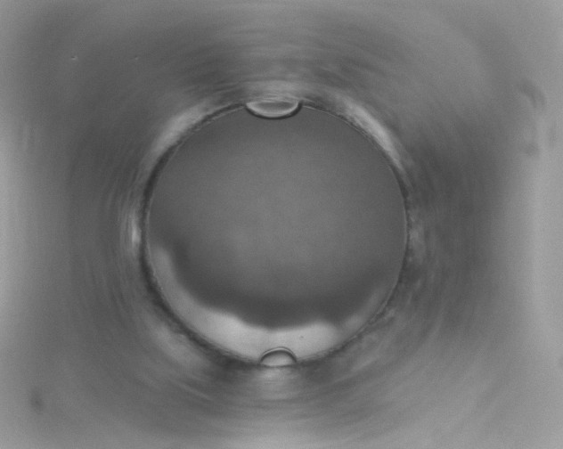 X0000115610059200911241625