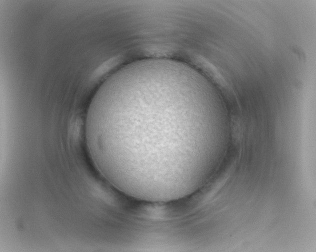 X0000115610071200911241625