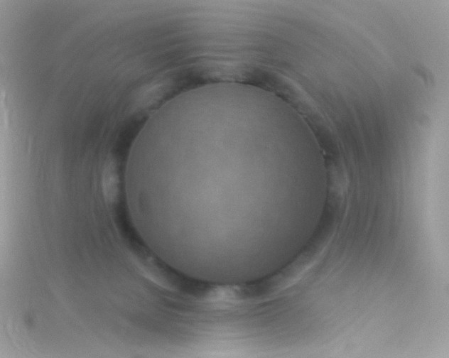 X0000115610080200911241625