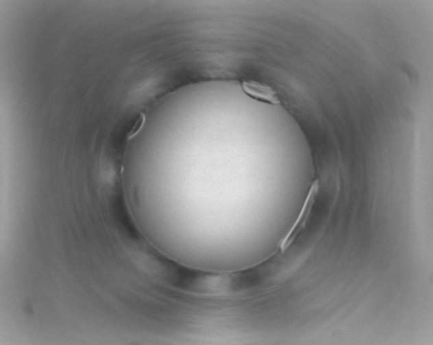 X0000115610084200911241625