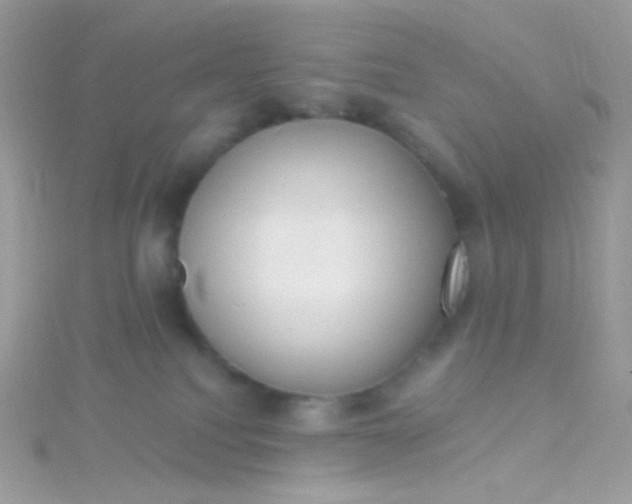 X0000115610088200911241625