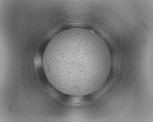 X0000115610089200911241625