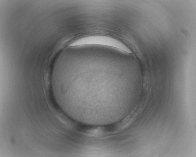 X0000115610116200911241624