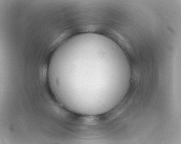 X0000115610118200911241624