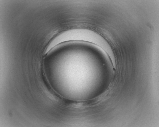 X0000115610120200911241624