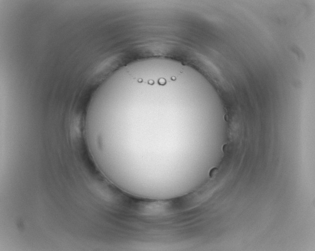 X0000115610122200911241624