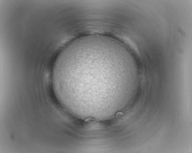 X0000115610123200911241624