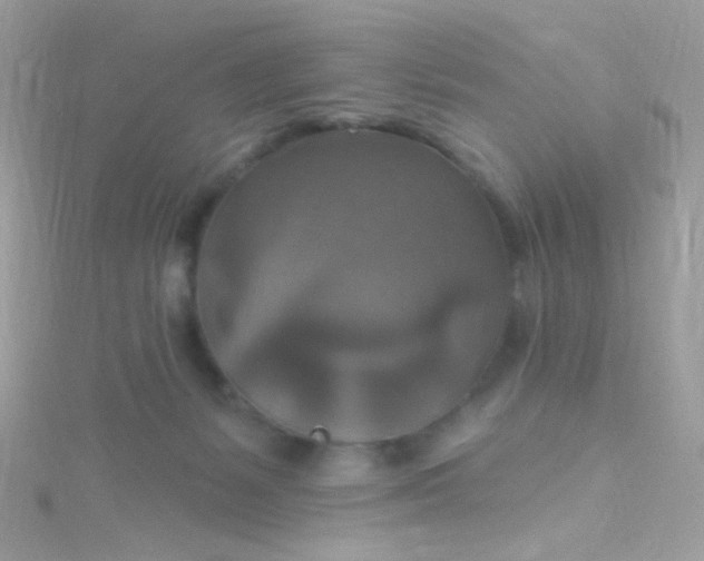 X0000115610127200911241624