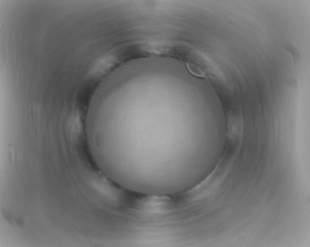 X0000115610128200911241624