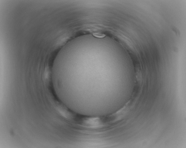 X0000115610132200911241624
