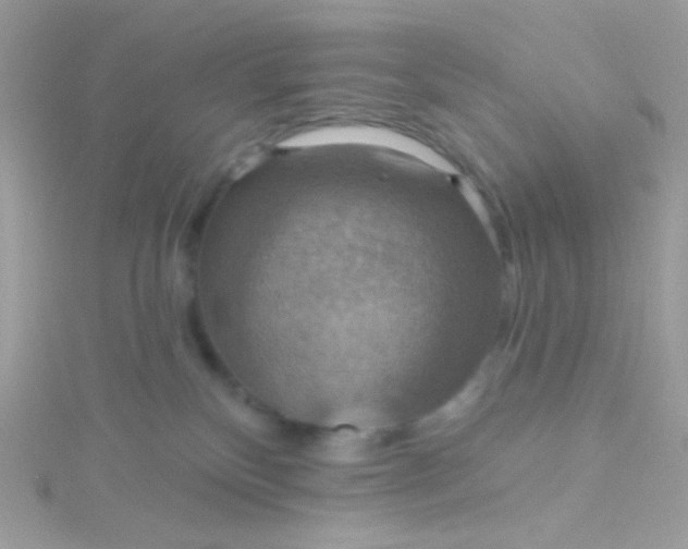 X0000115610136200911241624