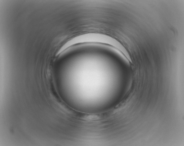 X0000115610137200911241624