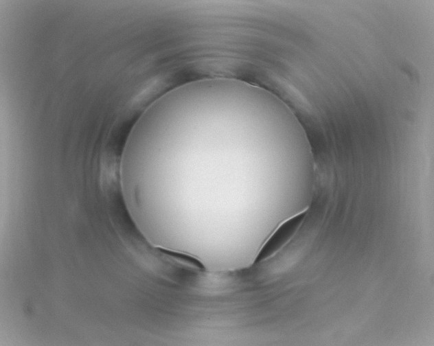 X0000115610141200911241624