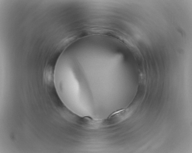 X0000115610143200911241624
