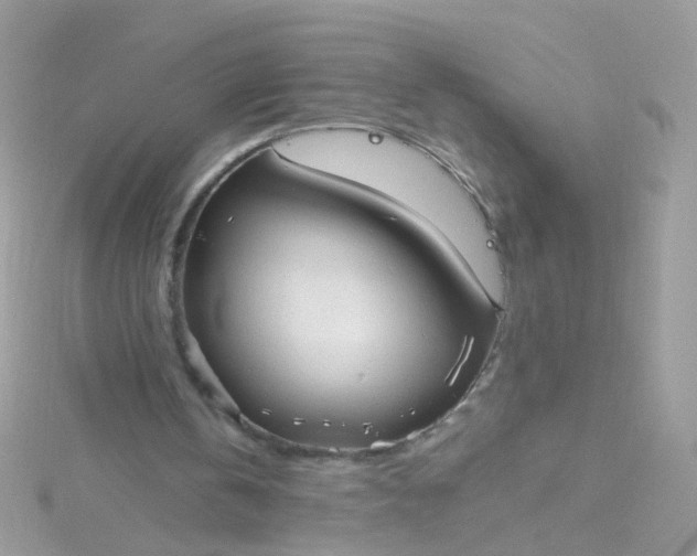 X0000115610146200911241623