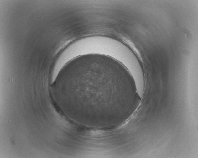 X0000115610154200911241623