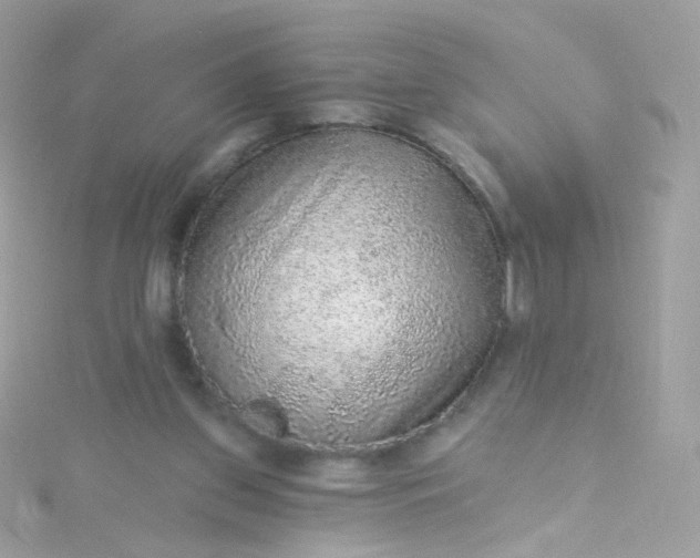 X0000115610157200911241623
