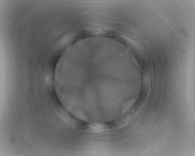 X0000115610181200911241624