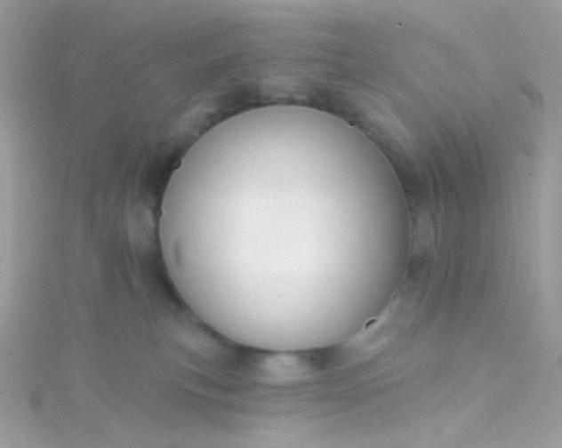 X0000115610183200911241624
