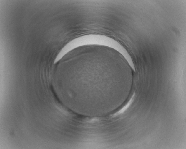 X0000115610186200911241624