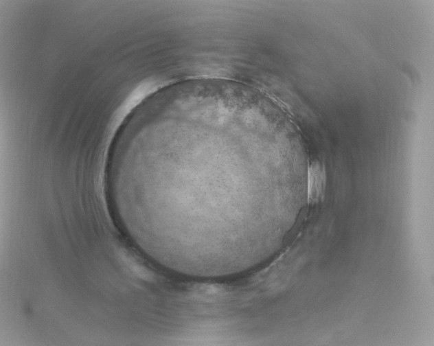 X0000115610195200911241623