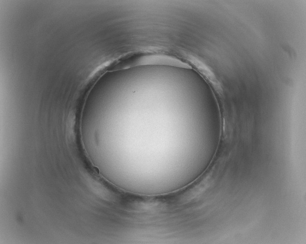 X0000115610201200911241623