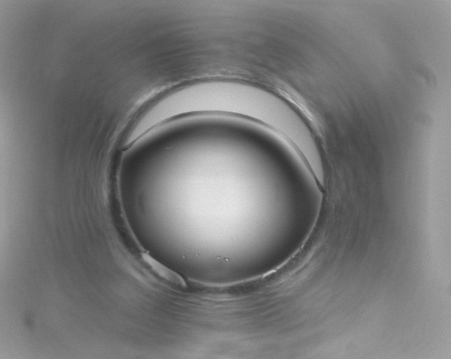 X0000115610203200911241623