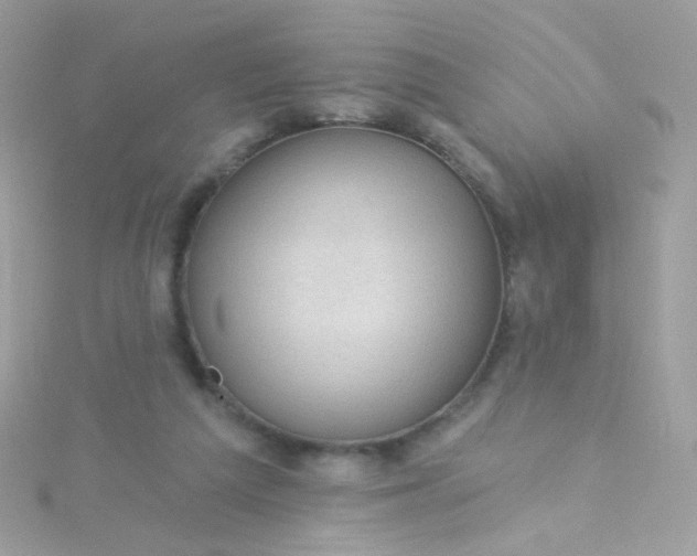 X0000115610209200911241623