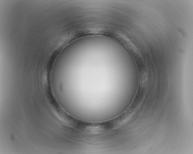 X0000115610213200911241623
