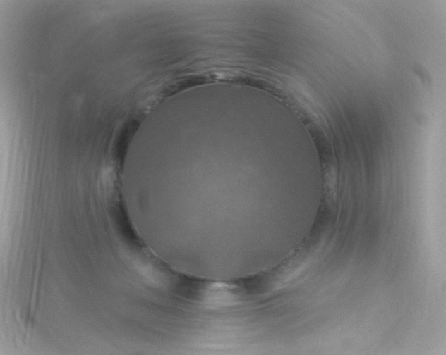 X0000115610222200911241623