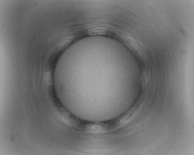 X0000115610224200911241623