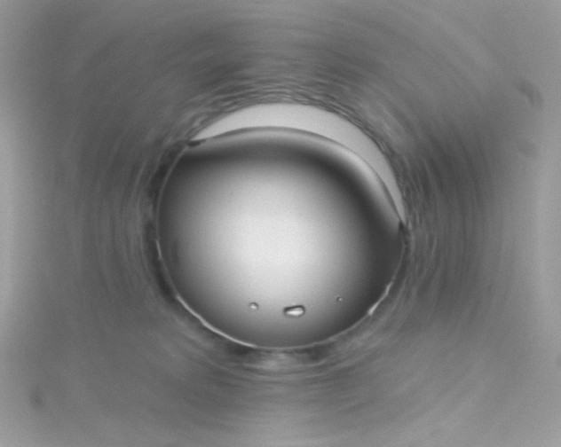 X0000115610229200911241623