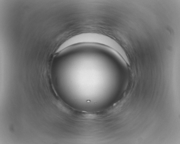 X0000115610233200911241623