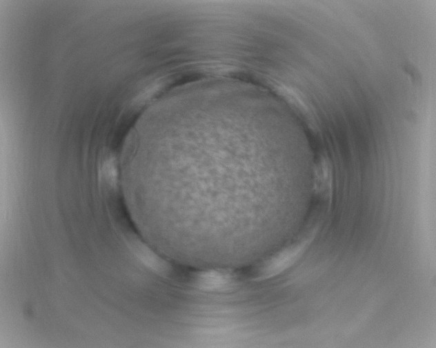 X0000115610238200911241623