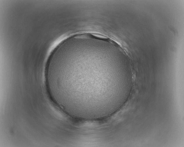 X0000115610248200911241622