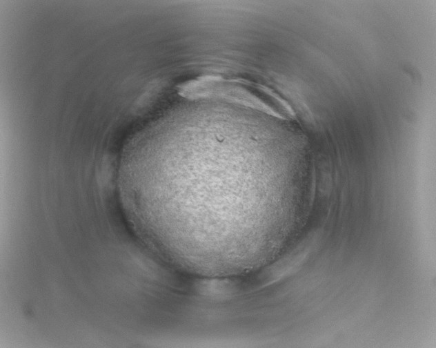 X0000115610273200911241622